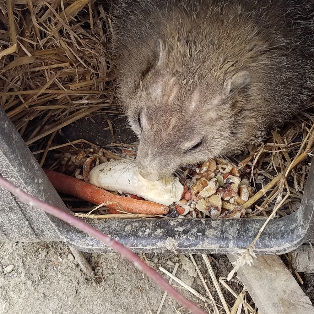 Meet your Posher, Janet - Picture 9 of 12